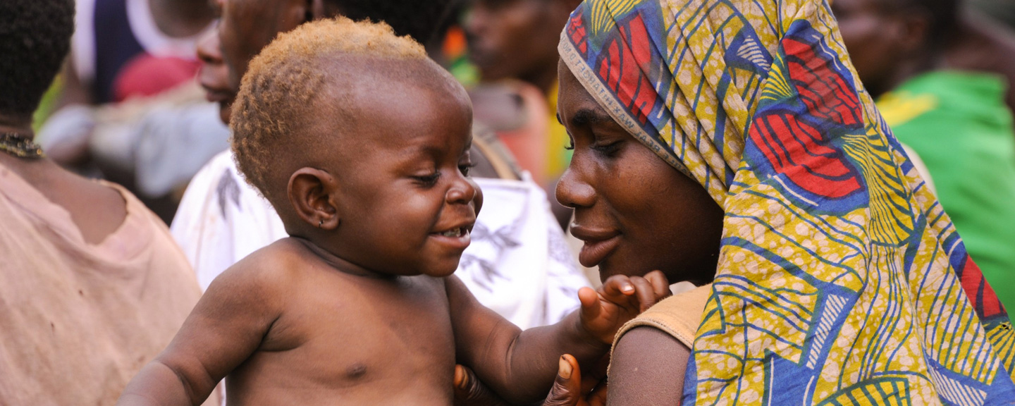 The-Nippon-Foundation